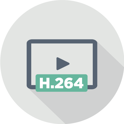 H.264 影像格式